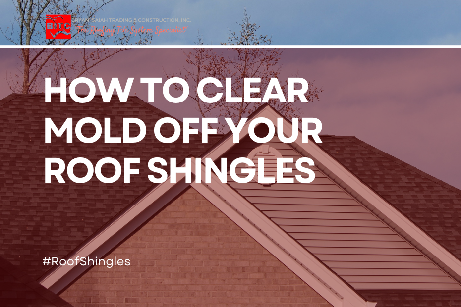 How to Clear Mold Off Your Roof Shingles BITC Roof Tiles
